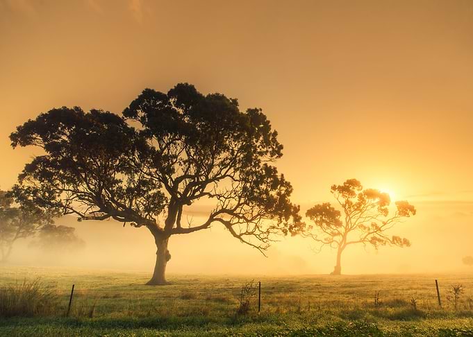 Rural Sunrise