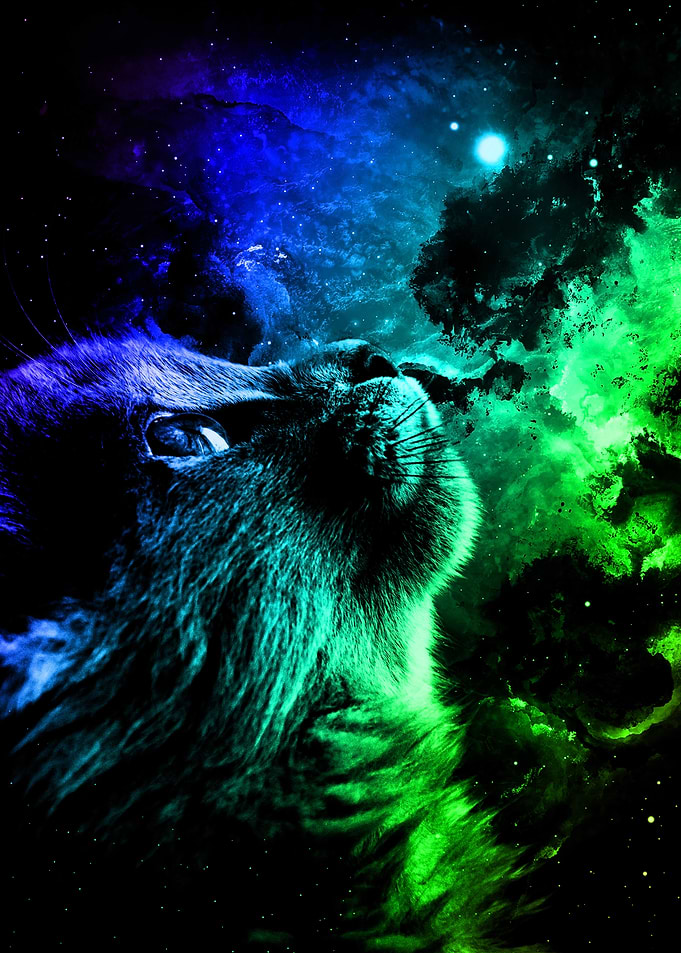Cat Galaxy 2