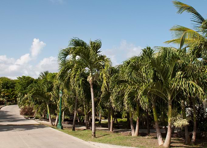 Resort Pathway