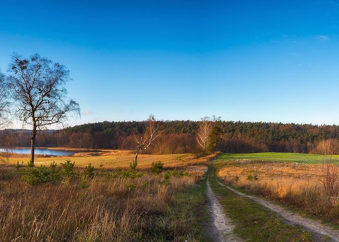Panoramic Landscape Of Fie
