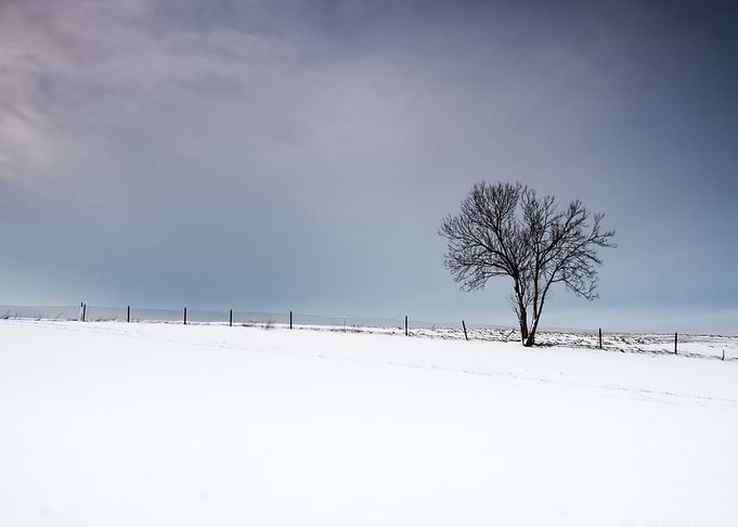 Winter Field Sunset