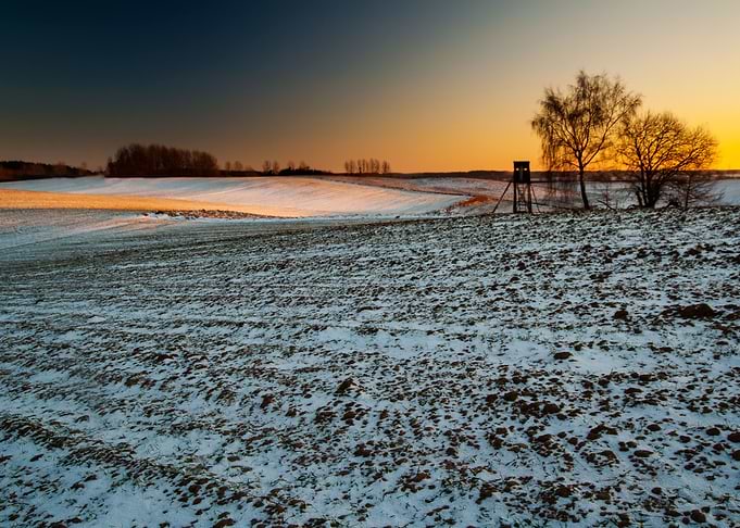 Winter Field Sunset