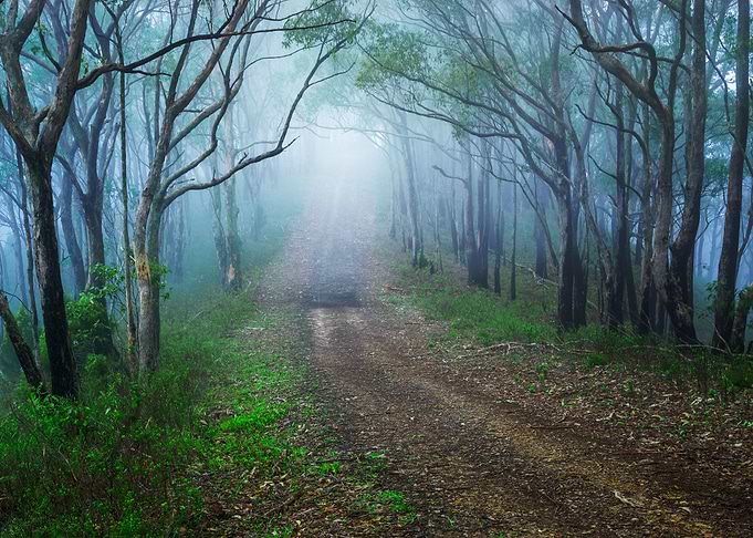 Misty Mood