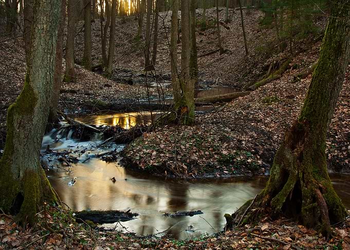 Small Wild River