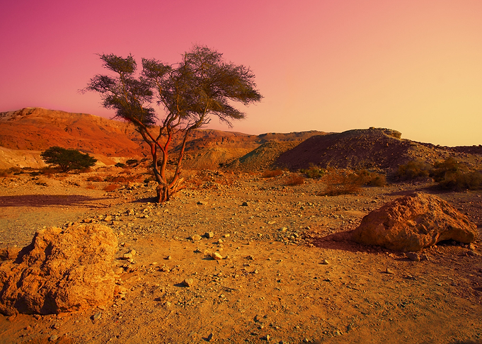 Sunrise Over Desert In Isr