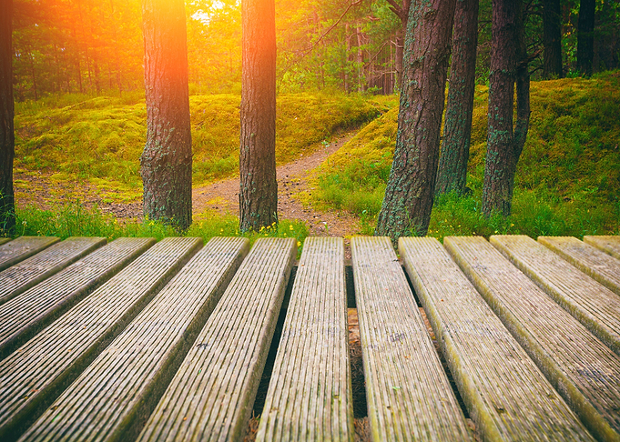 Wooden Walkway In The Fore
