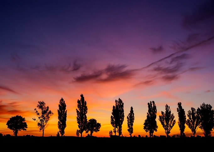 Sunset Over Rural Field