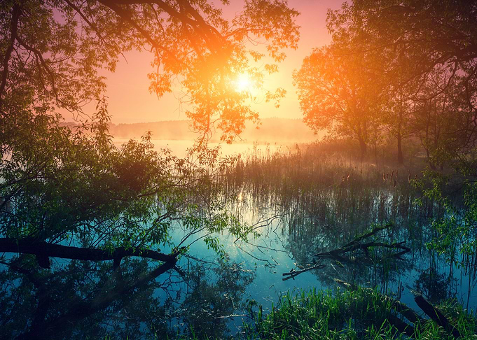 Rural Landscape Misty Morn
