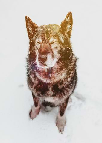 Bright and Warm