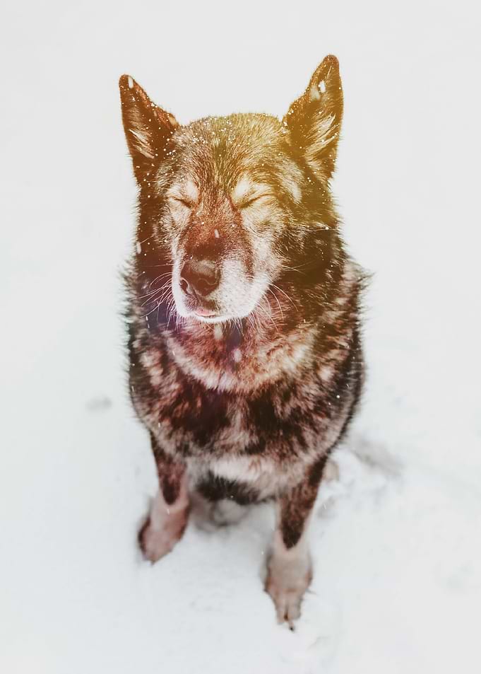 Bright and Warm