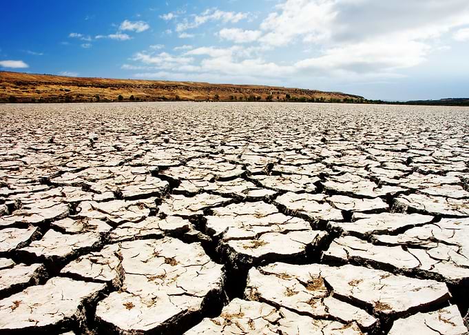Drought
