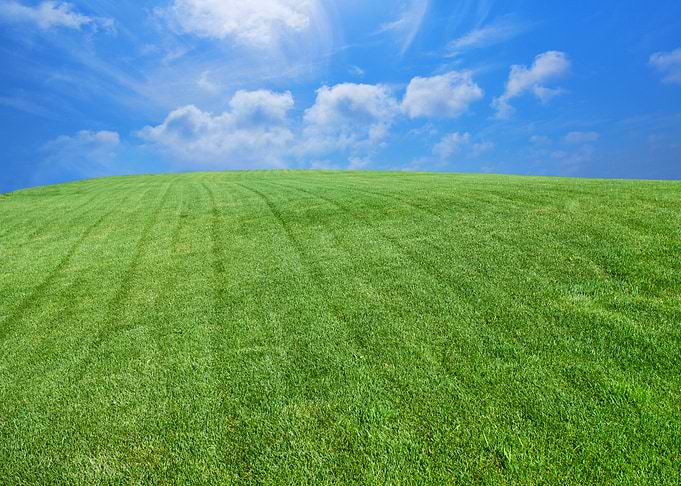 Green Lawn With Blue Sky