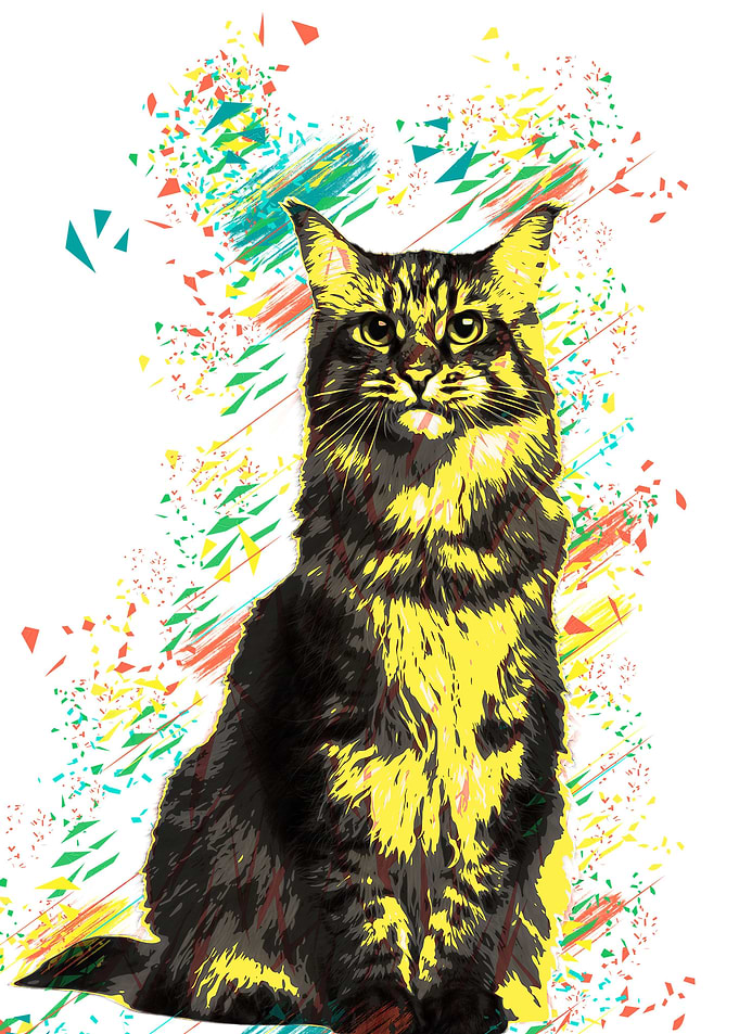 Cat white color