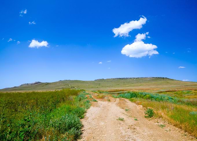 Rural Road To The Sea Coas