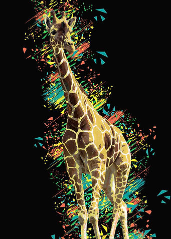 Giraffe black color