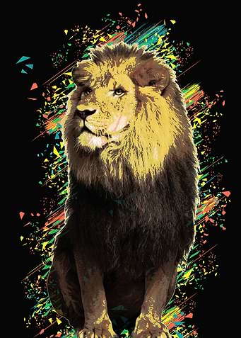 Lion black color