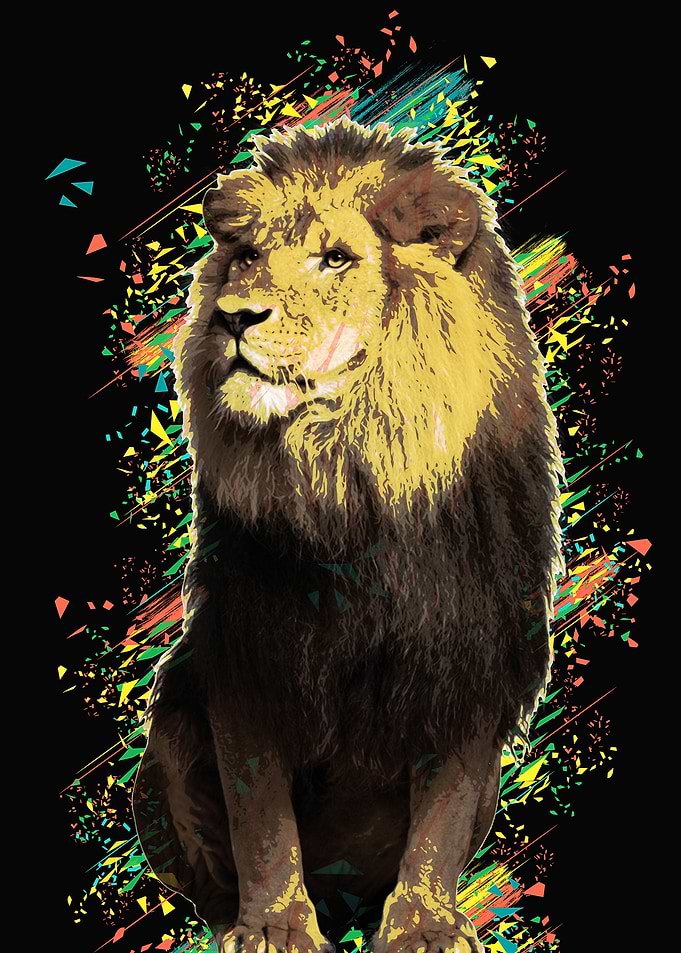 Lion black color