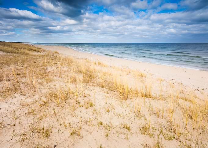 Sea Shore With Grass Beaut