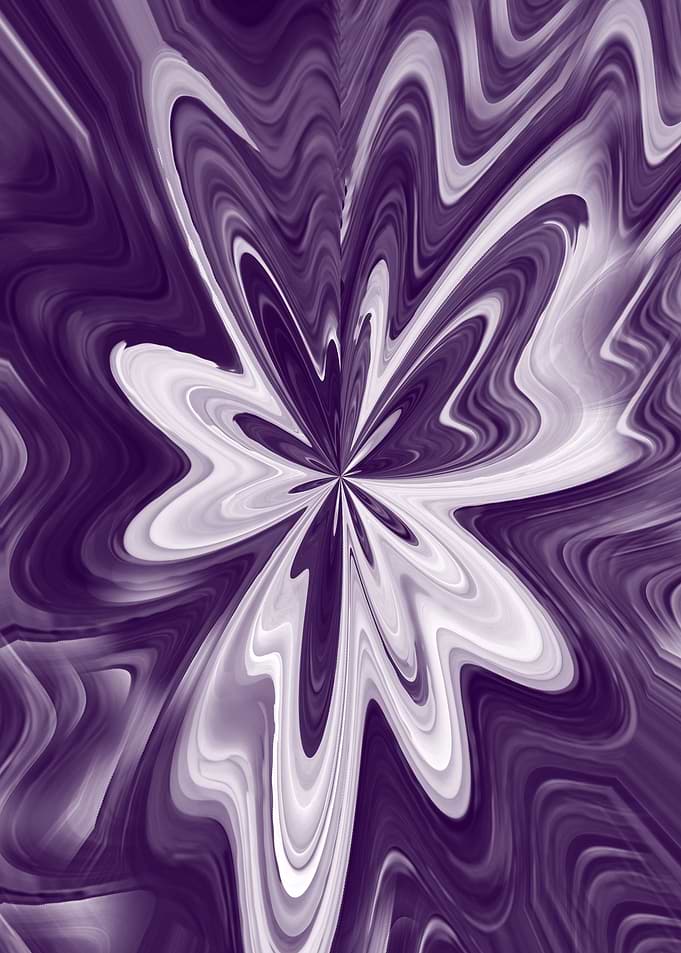 butterfly wings