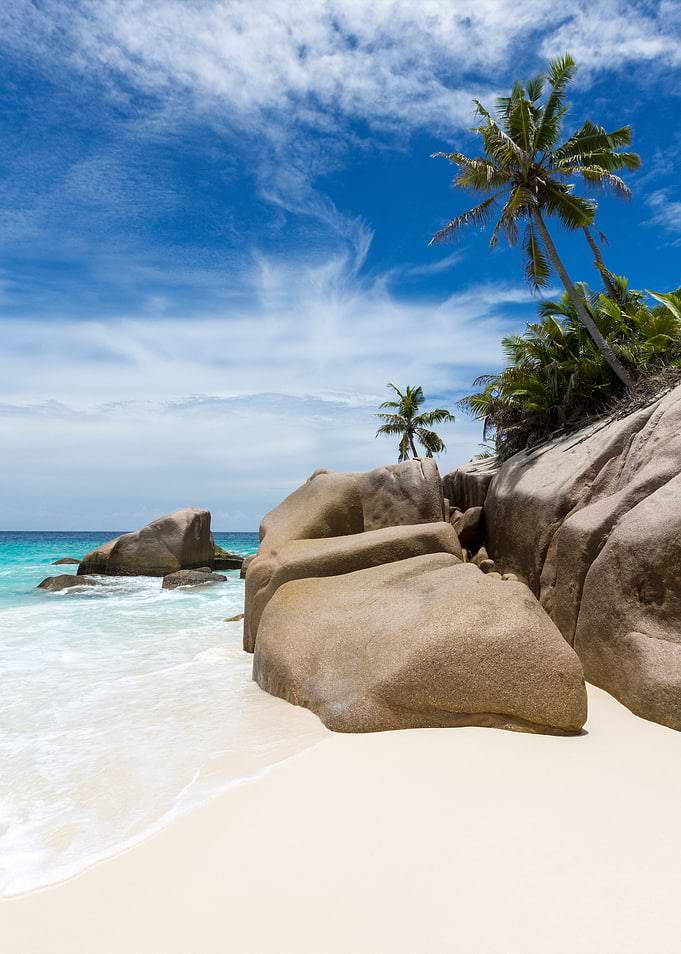 Life Is A Beach