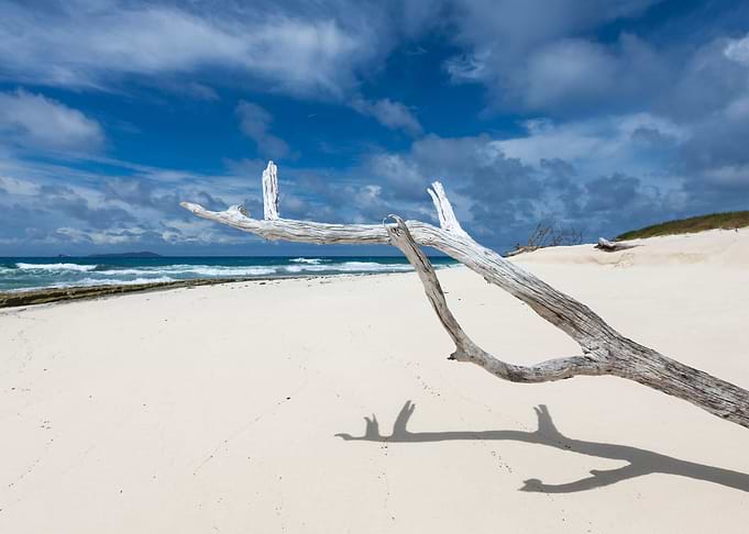 Life Is A Beach