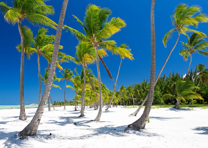 Life Is A Beach