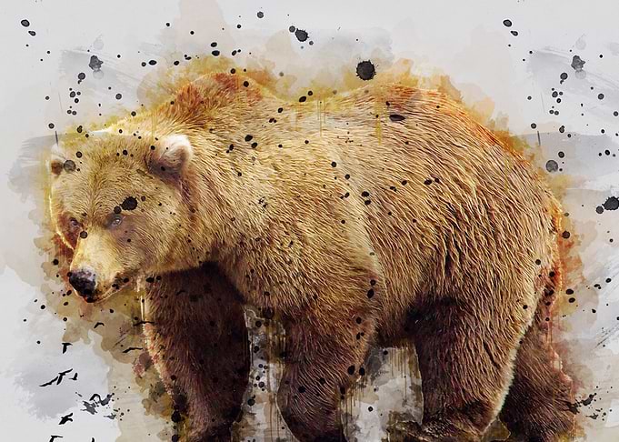 Bear watercolor