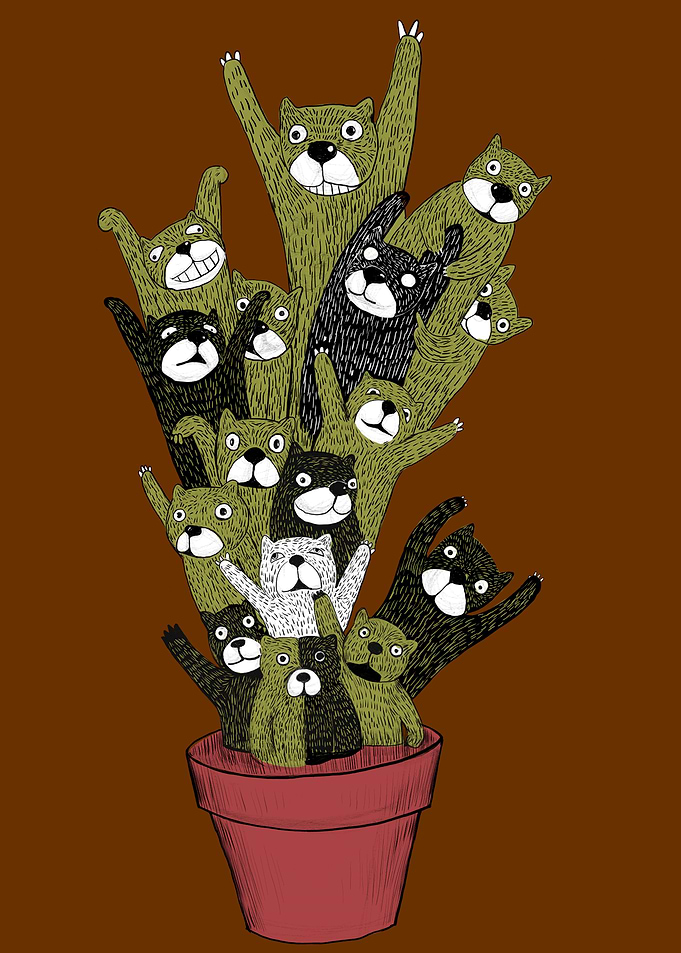 Bear tree