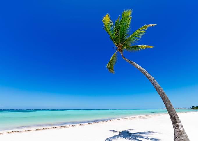 Life Is A Beach