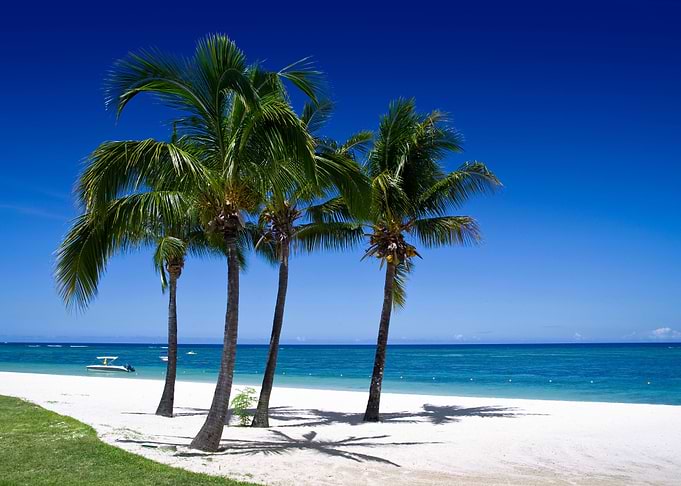 Life Is A Beach
