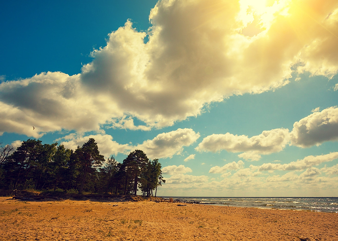 Wild Desert Beach With Pin