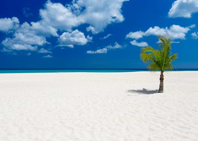 Life Is A Beach
