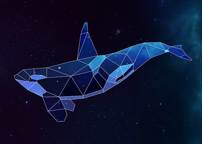 Galaxy Orcas