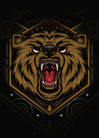 BEAR HEAD ILLUSTRATION