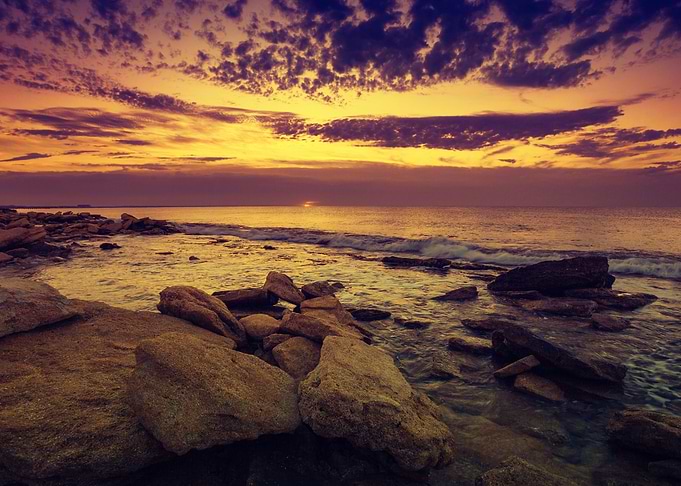 Wild Rocky Beach At Dawn