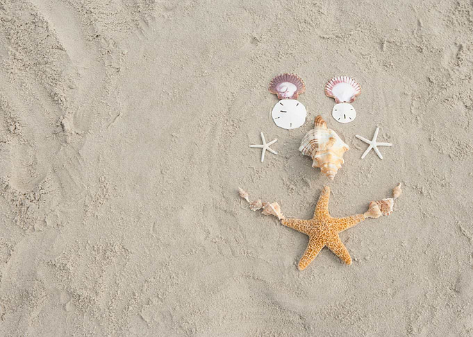 Seashells At Beach