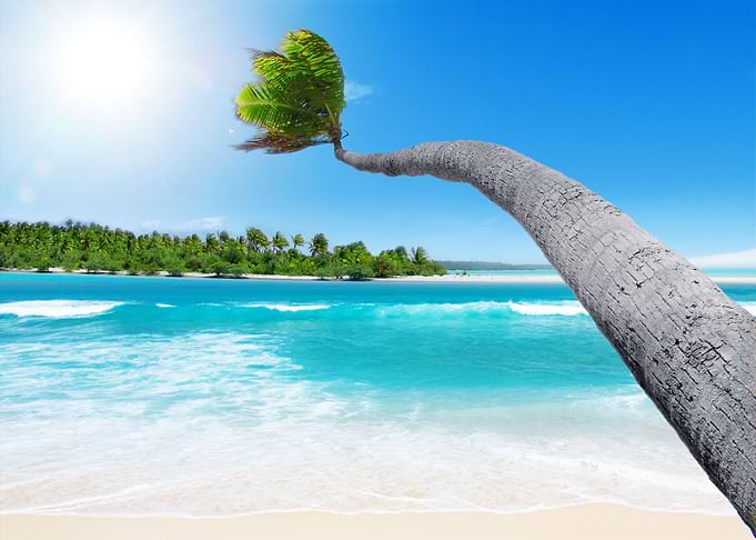 Tropical Paradise