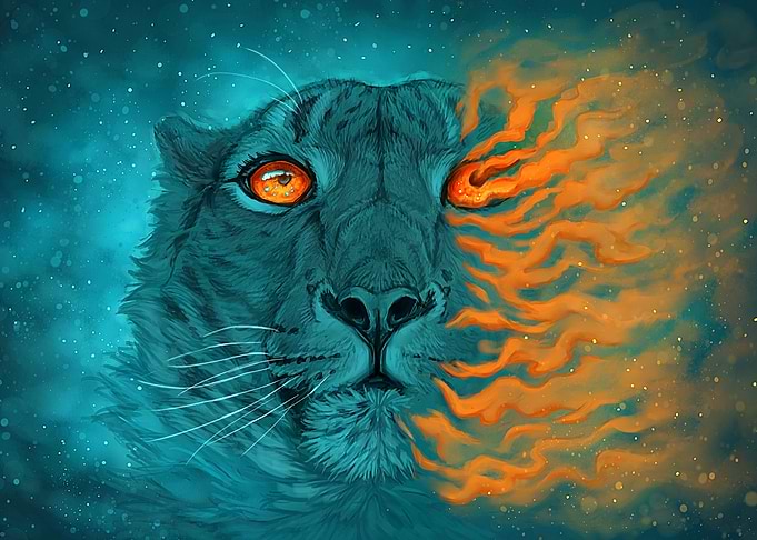 Tiger Eye Fantasy