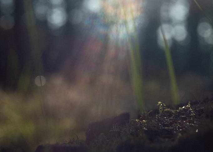 SunShine