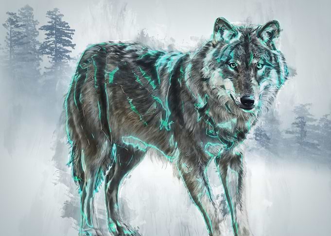 Wolf in forest