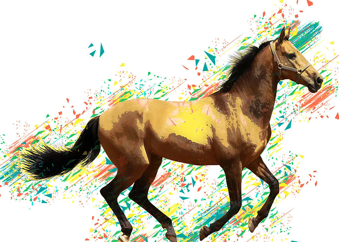 Horse white color