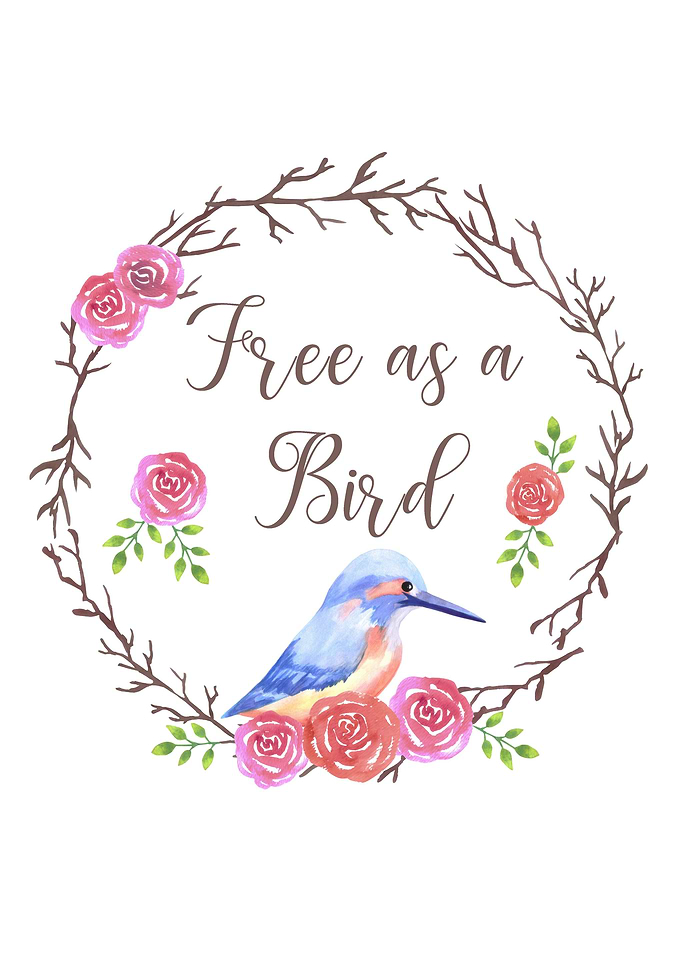 Kingfisher in floral frame