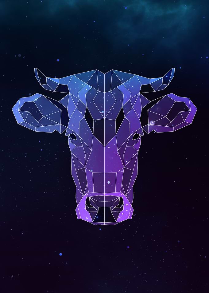 Galaxy Cow