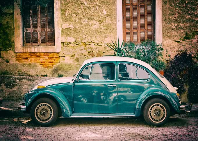Beetle