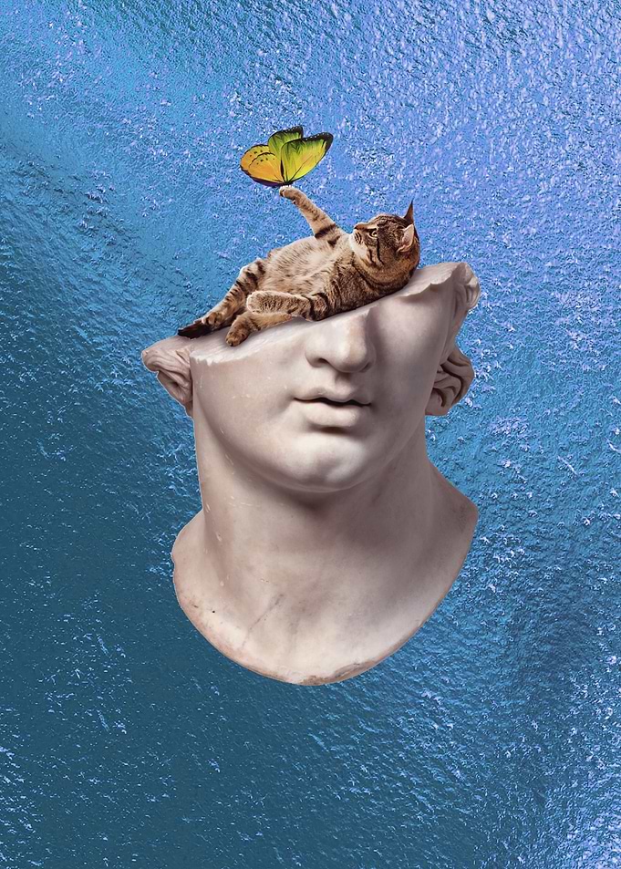 Butterfly Effect