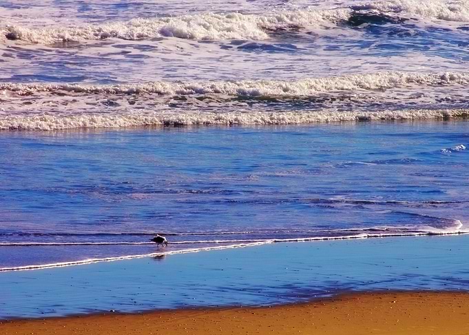 Life Is A Beach