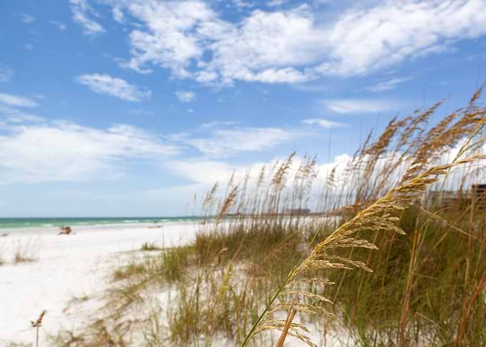 Siesta Key Beach Sarasota
