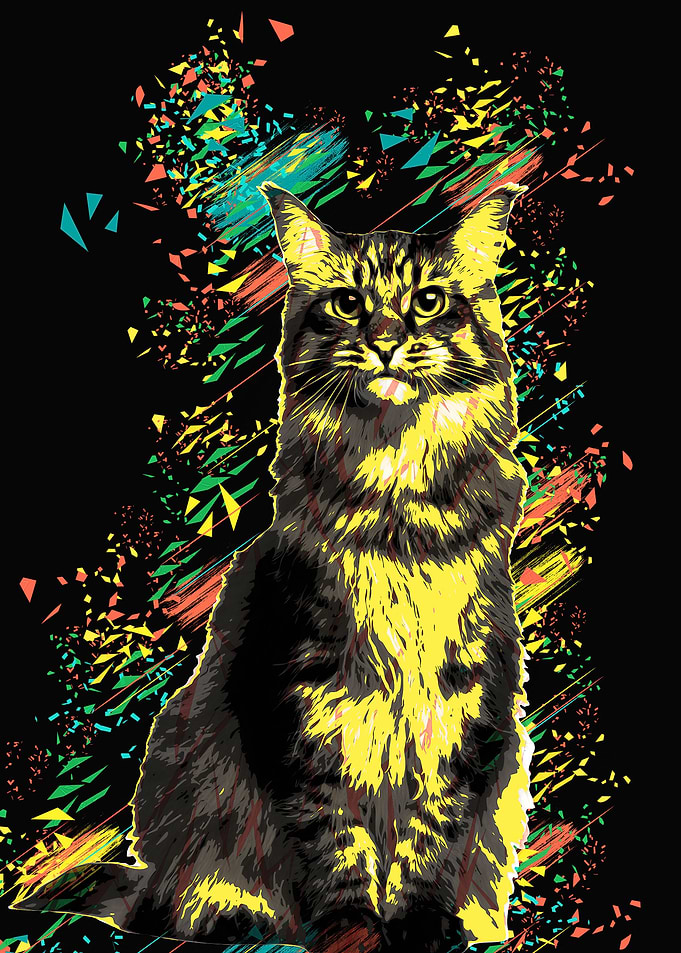 Cat black color