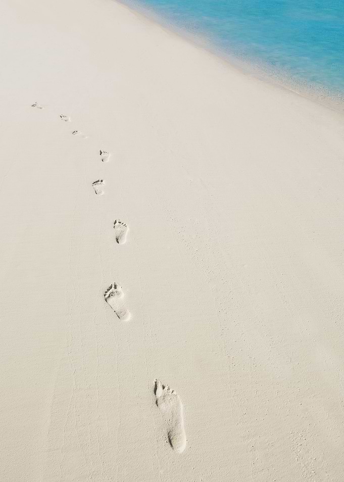 Tropical Beach