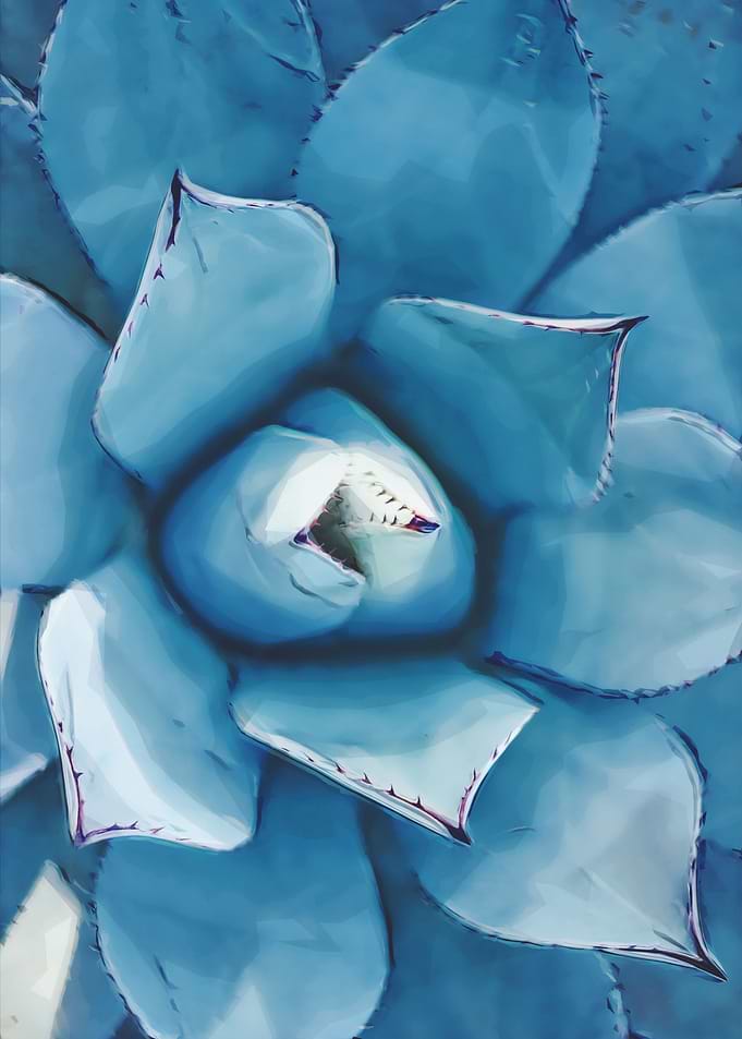 Succulent Series III